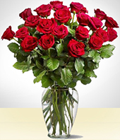 Flores Primaverales - Majestic Rojo de 24 Rosas