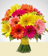 Flores Primaverales - Mirage: Arreglo Multicolor  de Gerberas