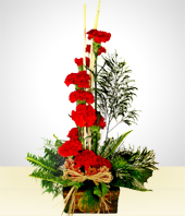 Arreglos Florales - Insaciable: 12 Claveles Rojos en Base Rstica