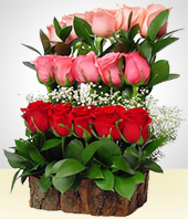 Arreglos Florales - Cataratas de ensueño con 15 Rosas