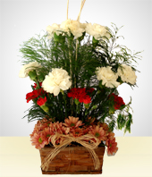 Arreglos Florales - Sutileza de Claveles