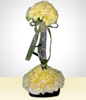 Arreglos Florales - Pureza de Claveles