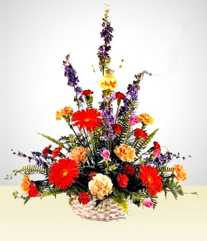 Arreglos Florales - Celestial: Claveles Multicolores