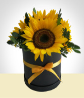 Arreglos Florales - Box de Girasoles