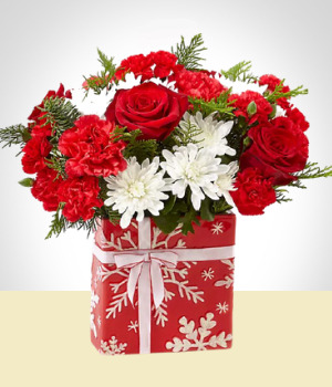 Flores a Per Alegra Navidea