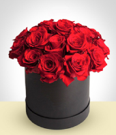 Festividades Prximas - Caja Velvet 24 rosas